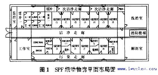 實(shí)驗動(dòng)物房平面布置圖